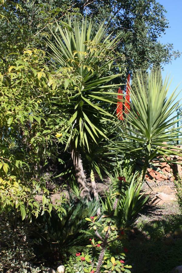 בית הארחה סילבס 	Quinta Teresinha מראה חיצוני תמונה